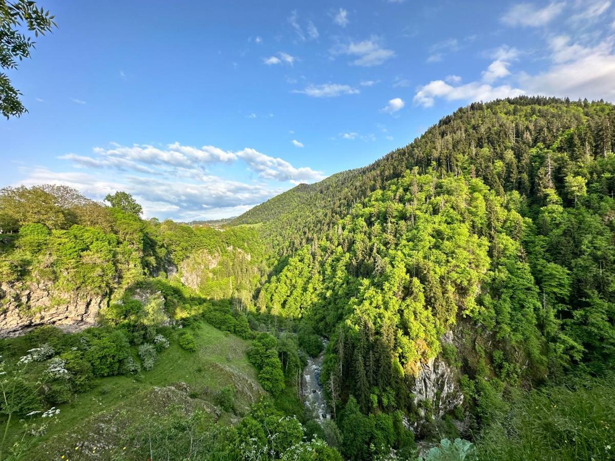 Green Mountain Borjomi Exterior photo
